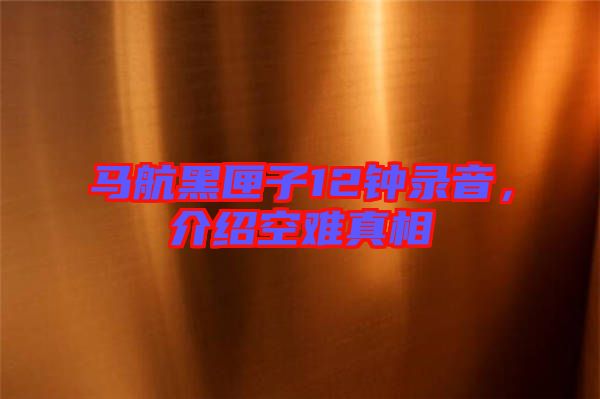 馬航黑匣子12鐘錄音,介紹空難真相