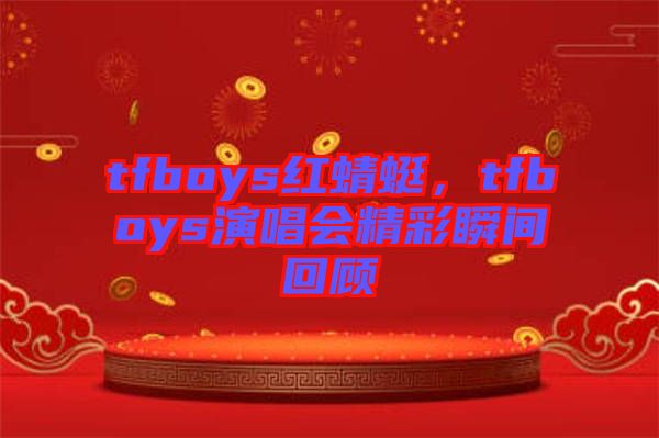 tfboys紅蜻蜓,tfboys演唱會精彩瞬間回顧