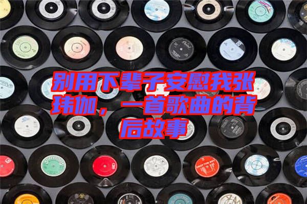 別用下輩子安慰我張瑋伽,一首歌曲的背后故事