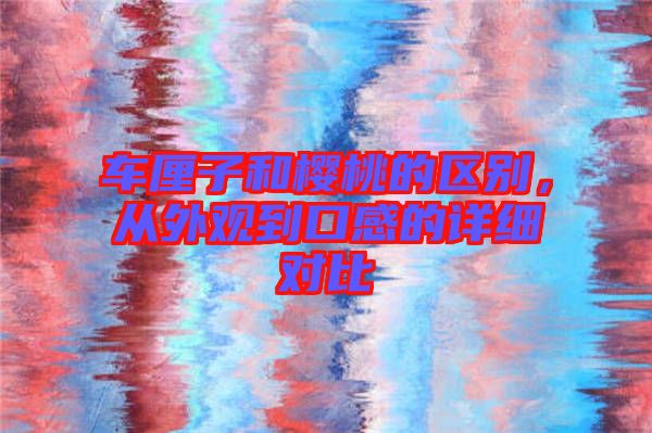 車?yán)遄雍蜋烟业膮^(qū)別,從外觀到口感的詳細(xì)對比