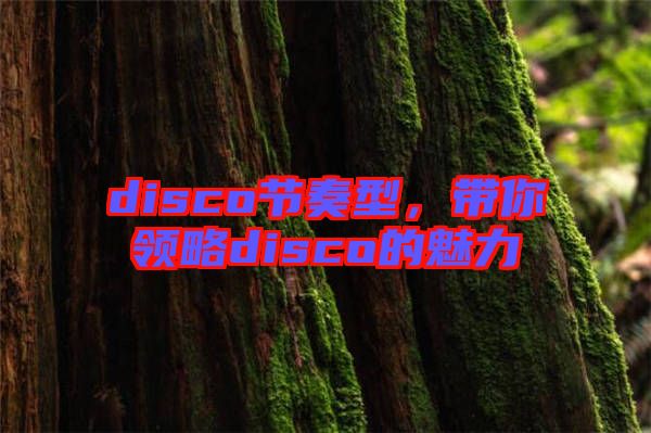 disco節奏型,帶你領略disco的魅力