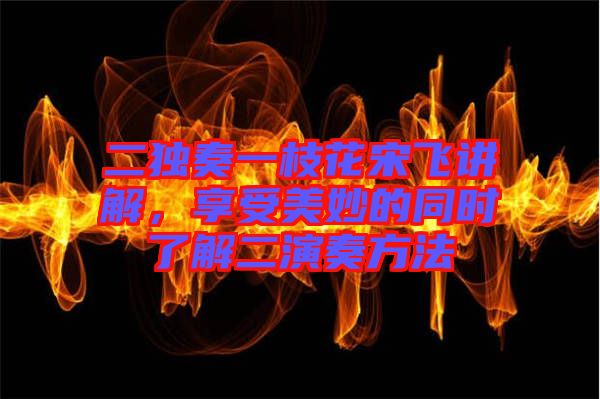 二獨奏一枝花宋飛講解，享受美妙的同時了解二演奏方法