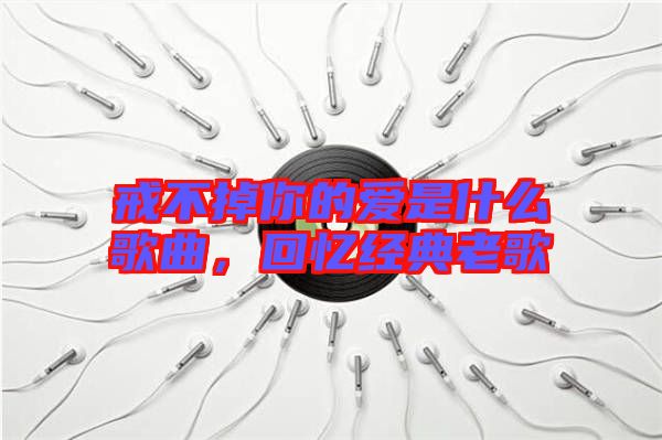 戒不掉你的愛是什么歌曲,回憶經典老歌