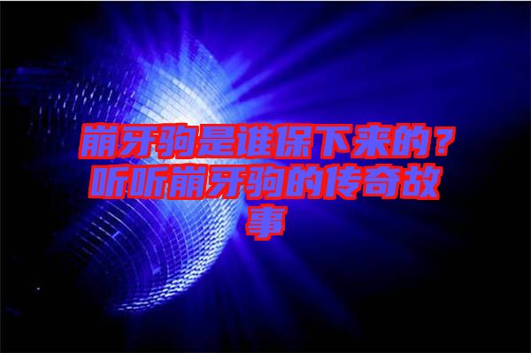 崩牙駒是誰保下來的?聽聽崩牙駒的傳奇故事