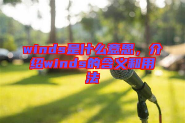 winds是什么意思,介紹winds的含義和用法