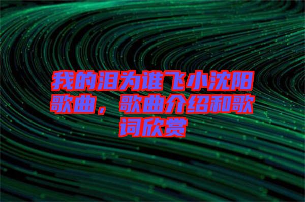 我的淚為誰飛小沈陽歌曲，歌曲介紹和歌詞欣賞