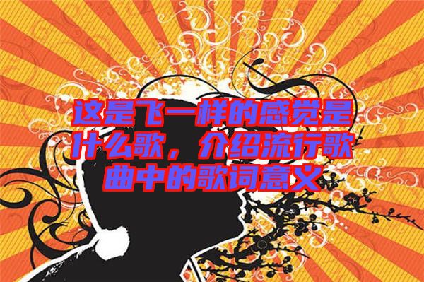 這是飛一樣的感覺是什么歌,介紹流行歌曲中的歌詞意義