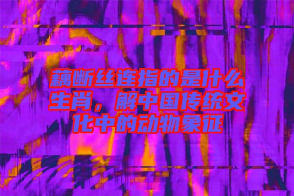 藕斷絲連指的是什么生肖,解中國傳統(tǒng)文化中的動(dòng)物象征