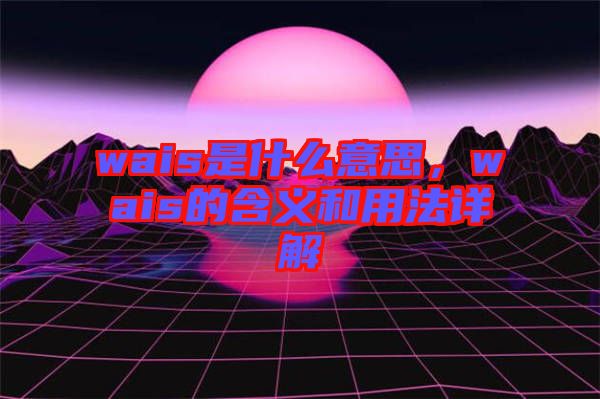 wais是什么意思，wais的含義和用法詳解