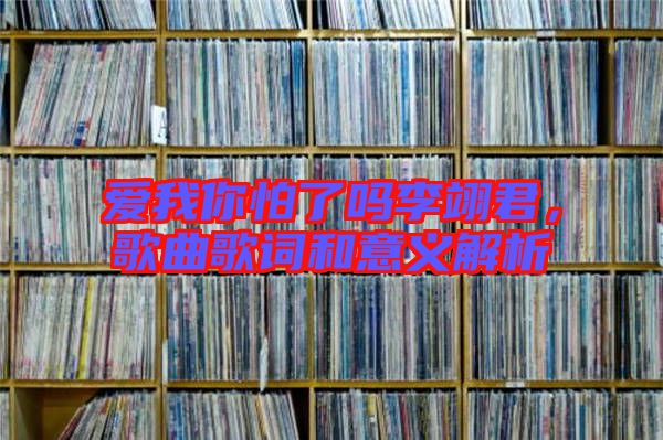 愛我你怕了嗎李翊君，歌曲歌詞和意義解析