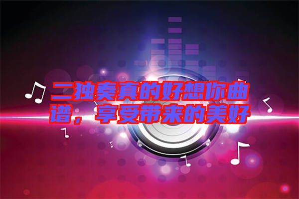 二獨奏真的好想你曲譜，享受帶來的美好