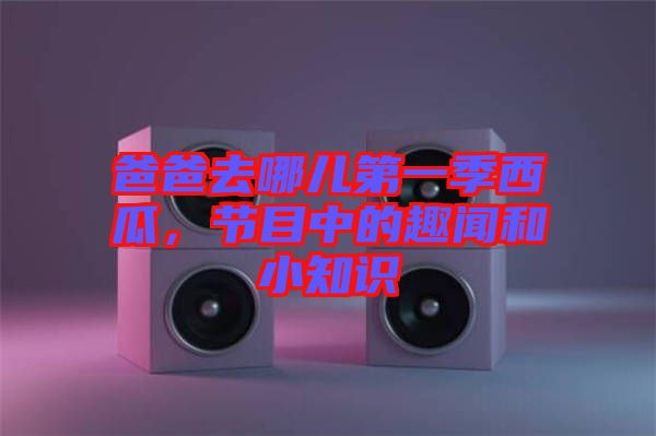 爸爸去哪兒第一季西瓜,節(jié)目中的趣聞和小知識