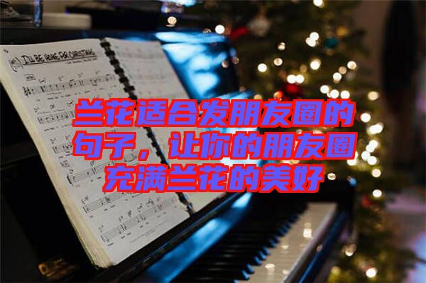 蘭花適合發朋友圈的句子,讓你的朋友圈充滿蘭花的美好