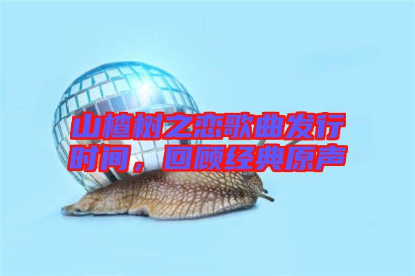 山楂樹之戀歌曲發(fā)行時間,回顧經(jīng)典原聲