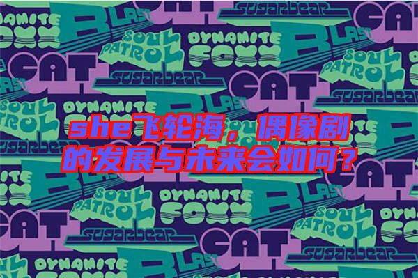 she飛輪海,偶像劇的發(fā)展與未來會(huì)如何?
