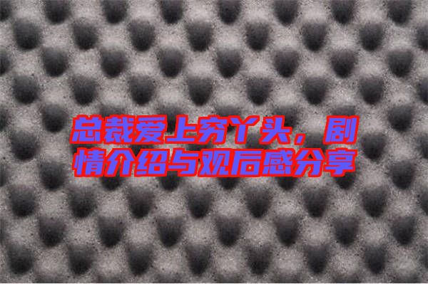 總裁愛(ài)上窮丫頭,劇情介紹與觀后感分享