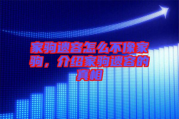 家駒遺容怎么不像家駒,介紹家駒遺容的真相
