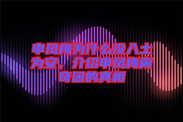 申鳳梅為什么沒入土為安,介紹申鳳梅離奇因的真相