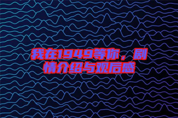 我在1949等你,劇情介紹與觀后感