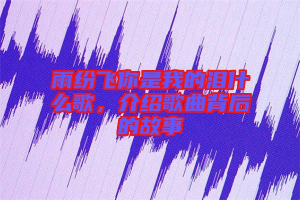 雨紛飛你是我的淚什么歌,介紹歌曲背后的故事