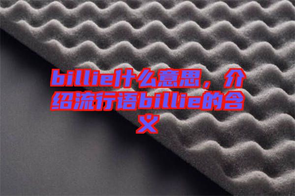 billie什么意思,介紹流行語billie的含義