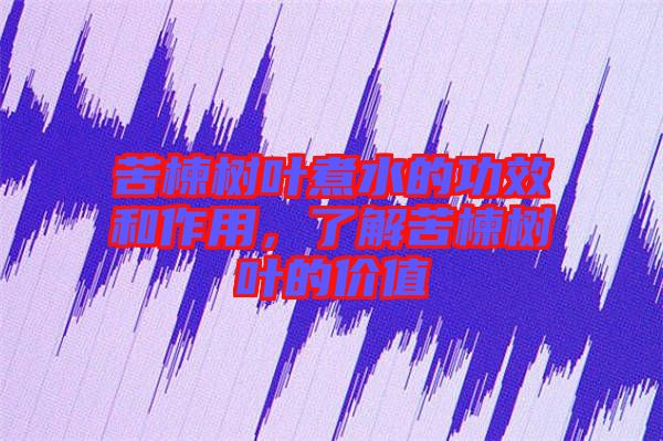 苦楝樹葉煮水的功效和作用,了解苦楝樹葉的價值