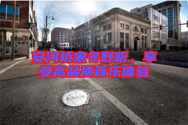 安河橋宋冬野聽,享受高品質音樂體驗