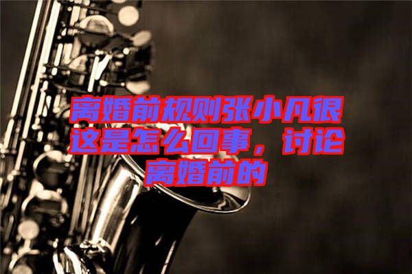離婚前規則張小凡很這是怎么回事，討論離婚前的