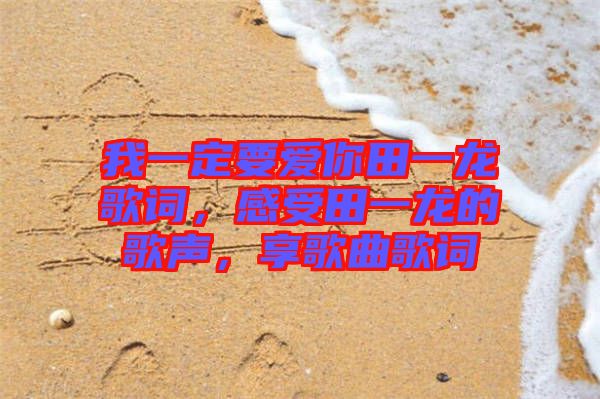 我一定要愛你田一龍歌詞,感受田一龍的歌聲,享歌曲歌詞