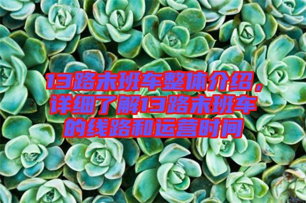 13路末班車整體介紹,詳細(xì)了解13路末班車的線路和運(yùn)營時(shí)間