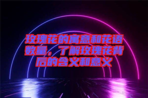 玫瑰花的寓意和花語數(shù)量,了解玫瑰花背后的含義和意義