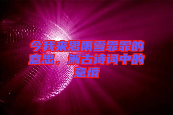 今我來思雨雪霏霏的意思,解古詩詞中的意境