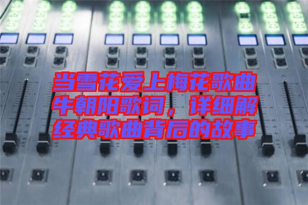 當雪花愛上梅花歌曲牛朝陽歌詞,詳細解經典歌曲背后的故事
