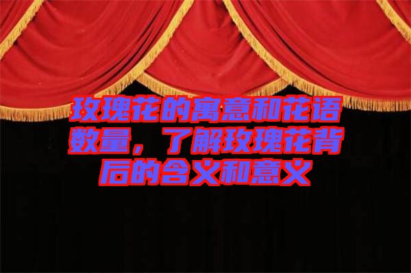 玫瑰花的寓意和花語數量，了解玫瑰花背后的含義和意義