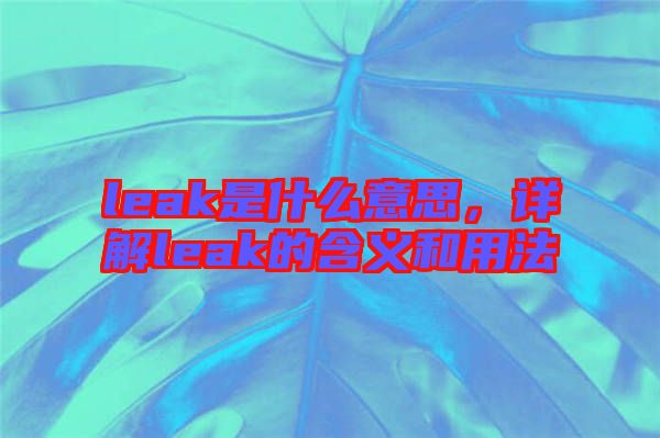 leak是什么意思，詳解leak的含義和用法