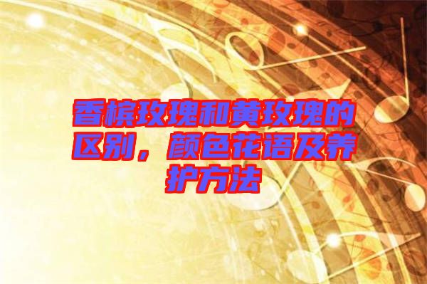 香檳玫瑰和黃玫瑰的區(qū)別,顏色花語(yǔ)及養(yǎng)護(hù)方法