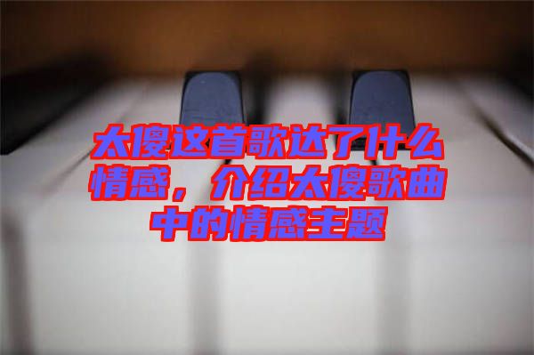 太傻這首歌達了什么情感,介紹太傻歌曲中的情感主題