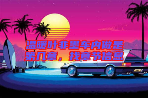 溫暖葉非墨車內做是第幾章,找章節信息