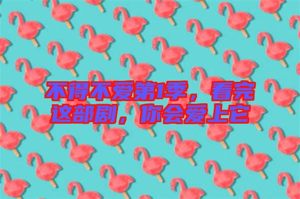 不得不愛第1季，看完這部劇，你會愛上它