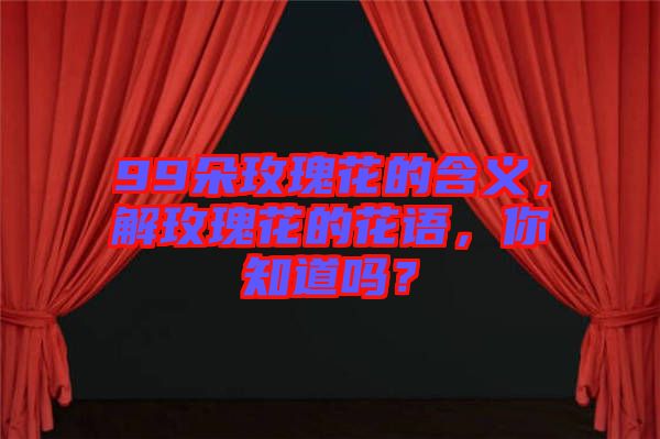 99朵玫瑰花的含義,解玫瑰花的花語,你知道嗎?