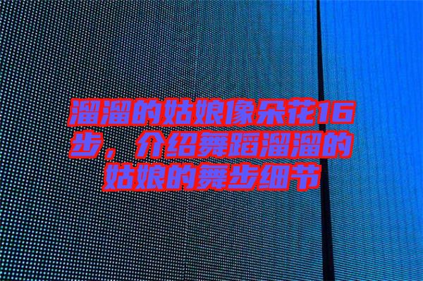 溜溜的姑娘像朵花16步,介紹舞蹈溜溜的姑娘的舞步細節