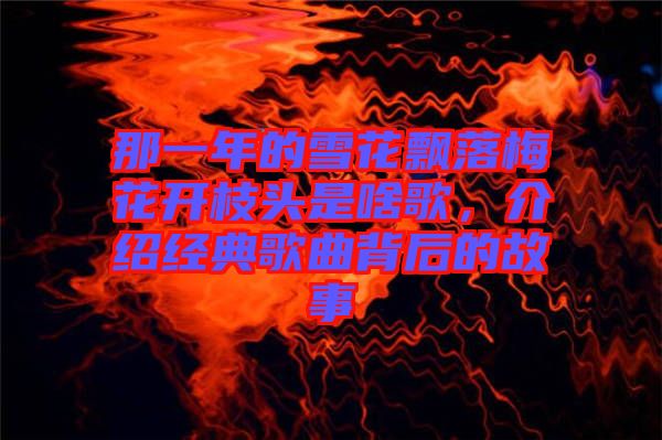 那一年的雪花飄落梅花開枝頭是啥歌,介紹經典歌曲背后的故事