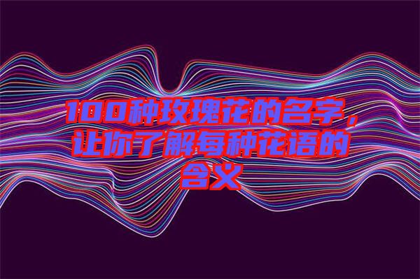 100種玫瑰花的名字,讓你了解每種花語的含義
