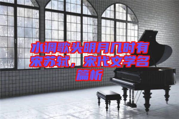 水調(diào)歌頭明月幾時(shí)有宋蘇軾,宋代文學(xué)名篇析