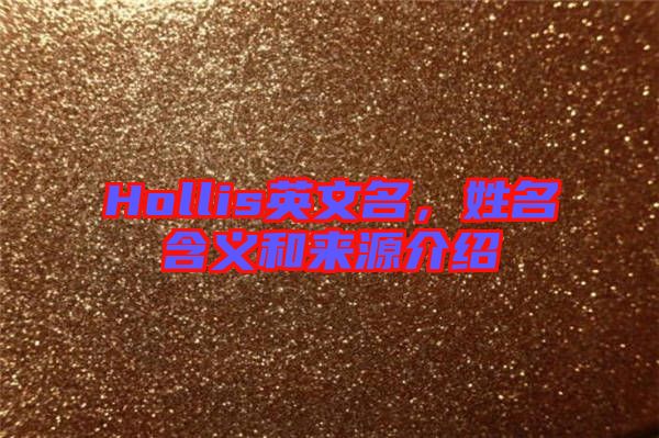 Hollis英文名,姓名含義和來源介紹
