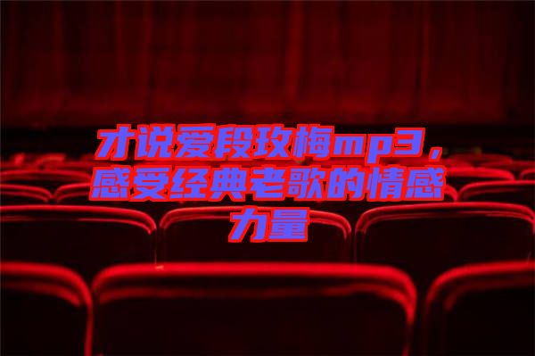 才說(shuō)愛(ài)段玫梅mp3,感受經(jīng)典老歌的情感力量