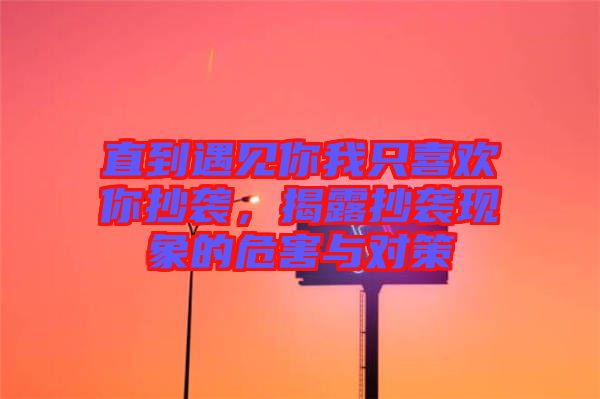 直到遇見你我只喜歡你抄襲,揭露抄襲現象的危害與對策