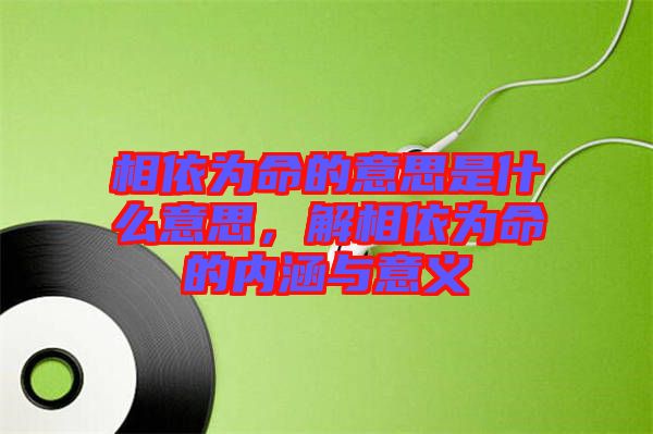 相依為命的意思是什么意思，解相依為命的內涵與意義