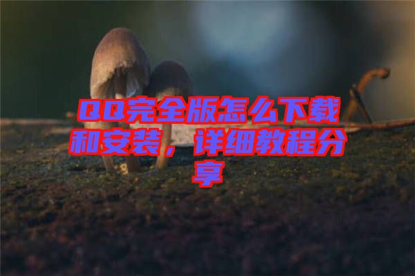 QQ完全版怎么下載和安裝,詳細教程分享