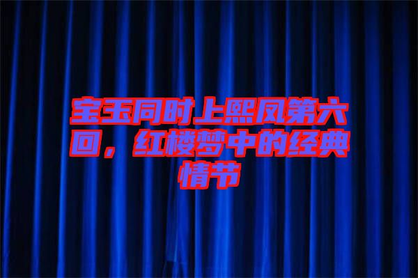 寶玉同時上熙鳳第六回,紅樓夢中的經典情節(jié)